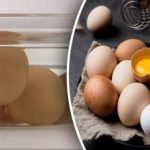 Kā pārbaudīt olu svaigumu 5 sekundēs: ātrākais un vienkāršākais veids